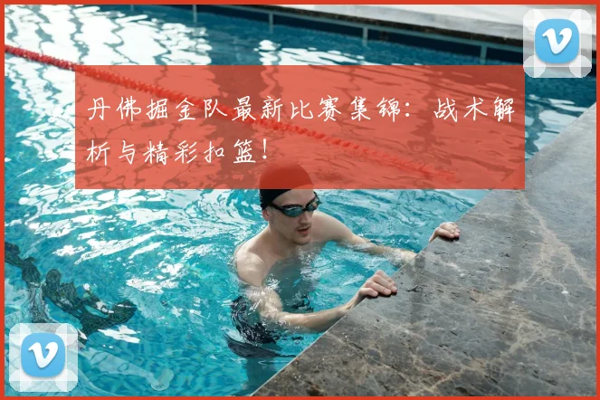 丹佛掘金队最新比赛集锦:战术解析与精彩扣篮!